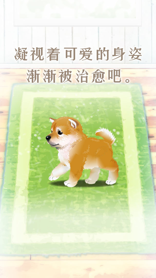 Screenshot of 养育柴犬的治愈游戏