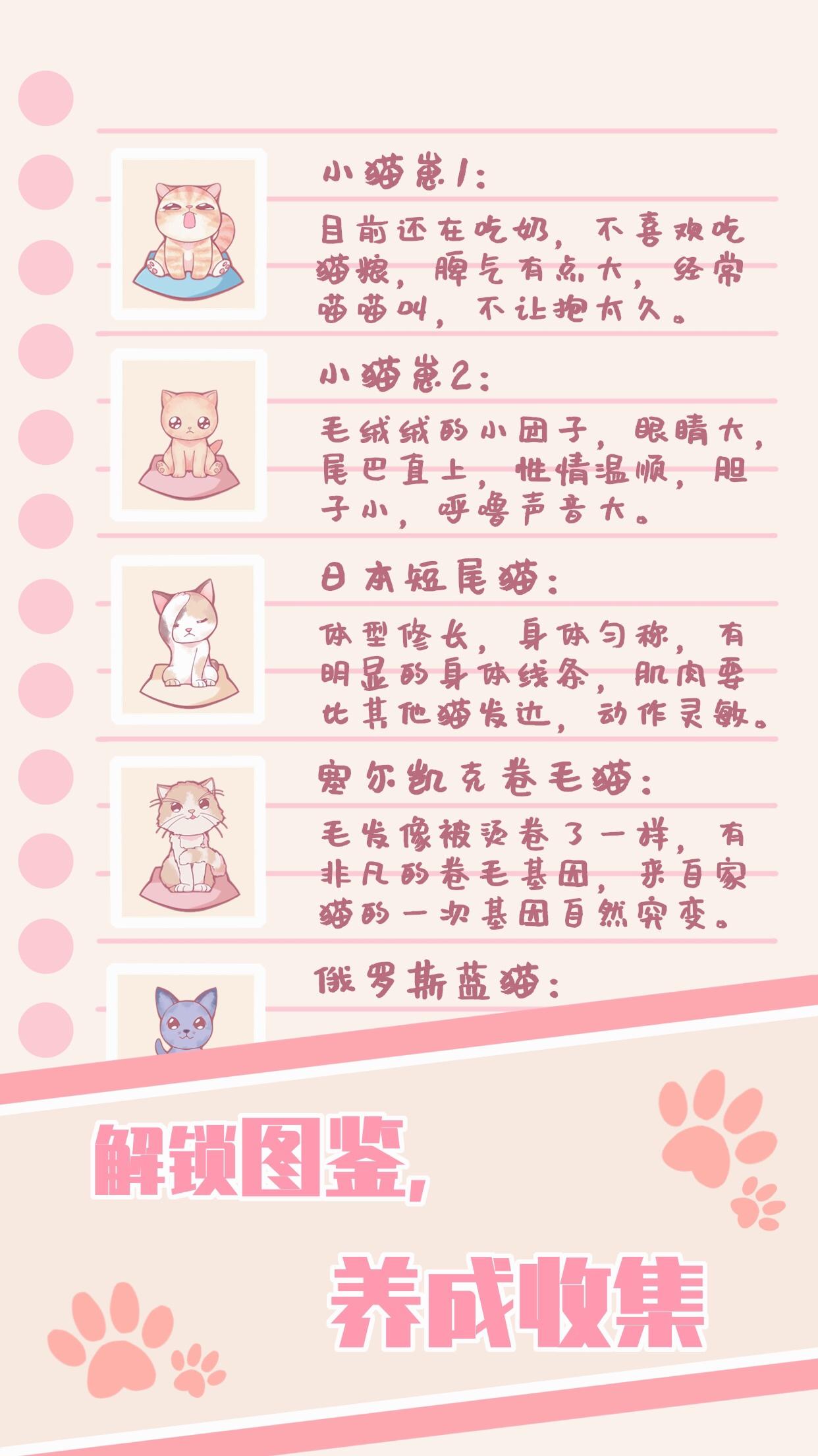 云撸猫咪 Game Screenshot