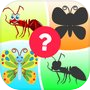 Insects World Puzzles