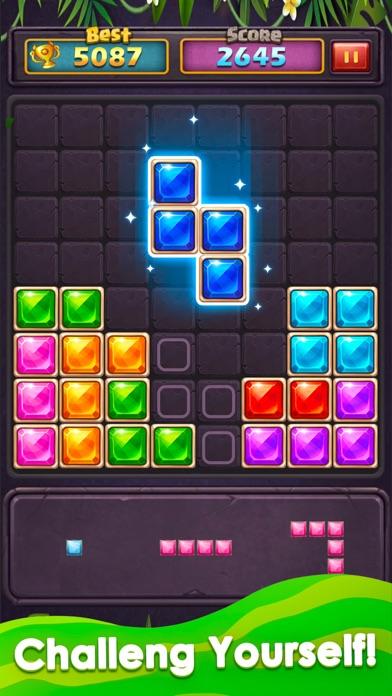 Скриншот игры Block Puzzle : Block Classic