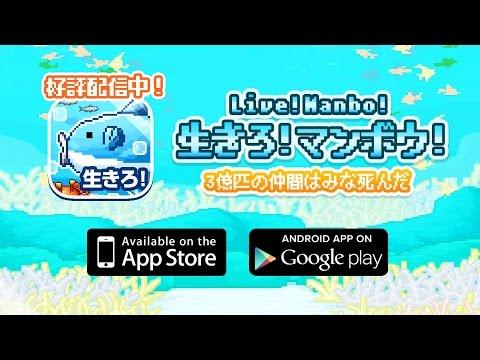 Screenshot of the video of 生きろ！マンボウ！〜3億匹の仲間はみな死んだ〜