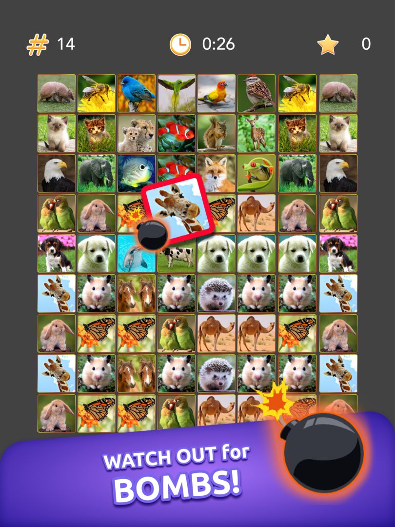 Onnect - Pair Matching Puzzle screenshot game