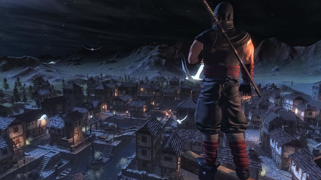 Screenshot of Ninja War Hero
