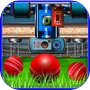 Icon of Cricket Ball Maker Factory