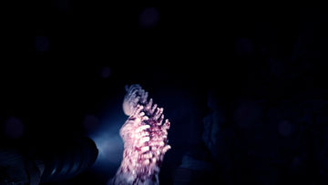 Sons Of The Forest Game Screenshot