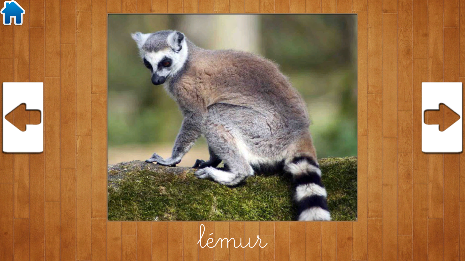 Kids Educational Game 3 遊戲截圖