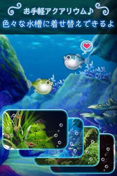 ぼくのフグさん水族館 【無料でかわいい育成ゲーム】 Game Screenshot
