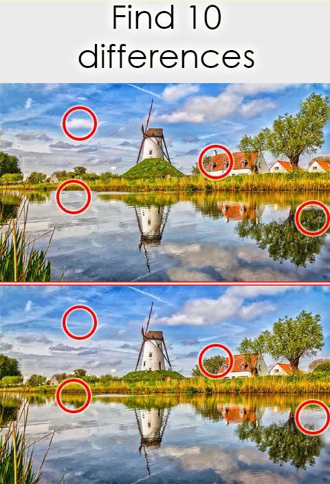 Find 10 Differences Game Screenshot