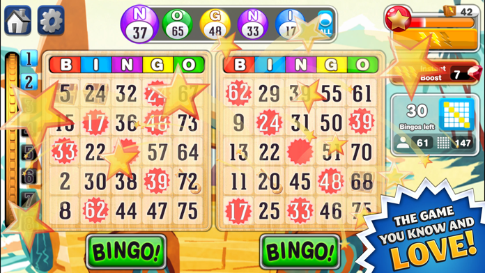 Bingo!™ Game Screenshot