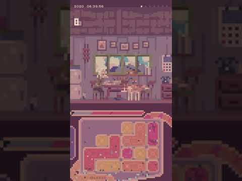 Screenshot of the video of renal summer