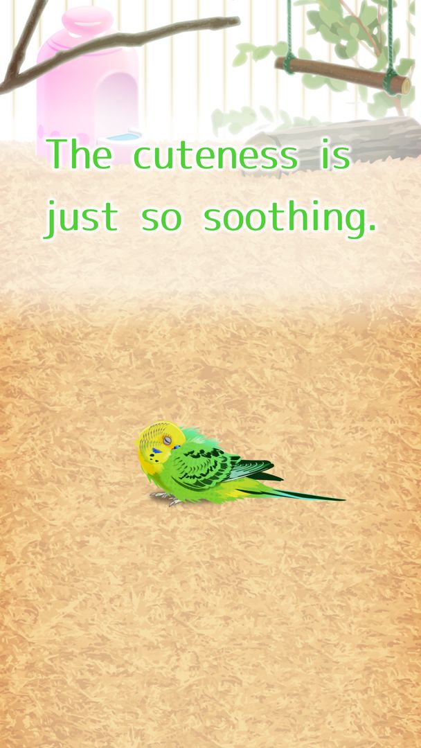 Parakeet Pet ภาพหน้าจอเกม