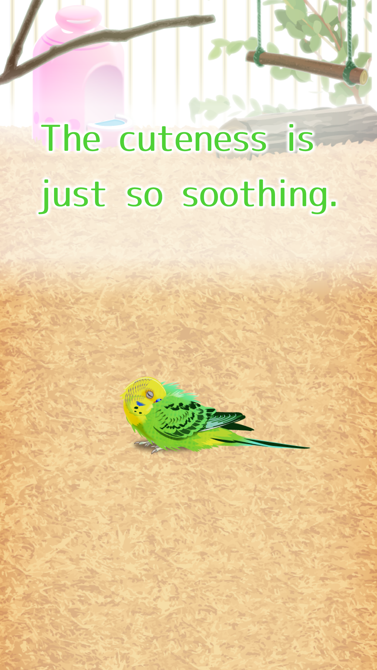 Скриншот игры Parakeet Pet
