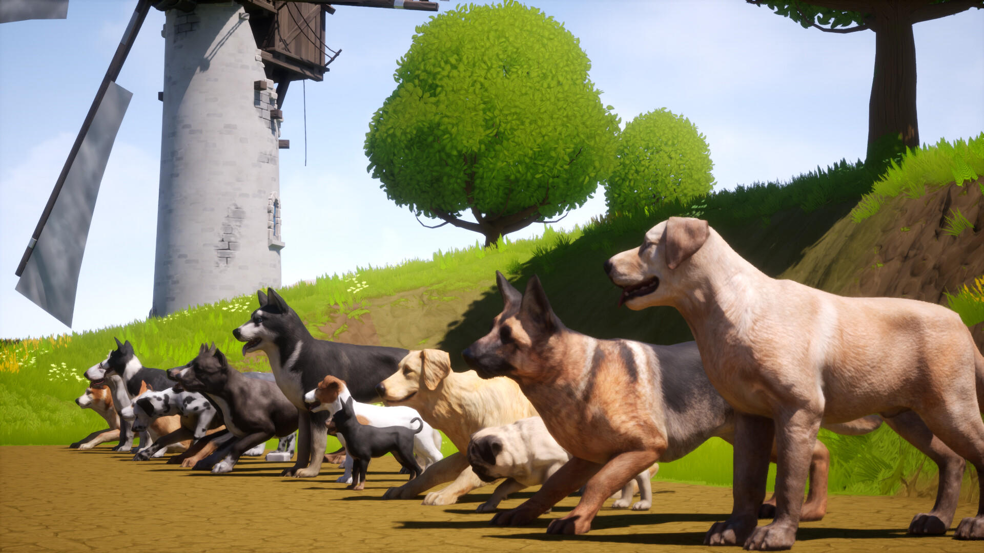 Dogs Club Game Screenshot