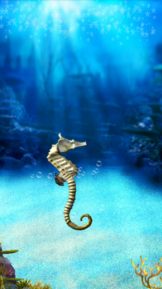 Seahorse simulation game Game Screenshot