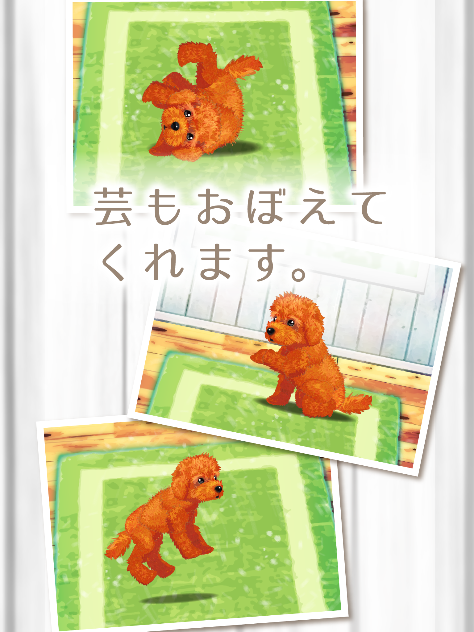 Cuplikan Layar Game 癒しの子犬育成ゲーム〜トイプードル編〜