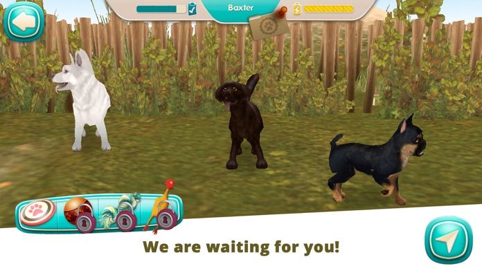 Screenshot of Dog Hotel Premium