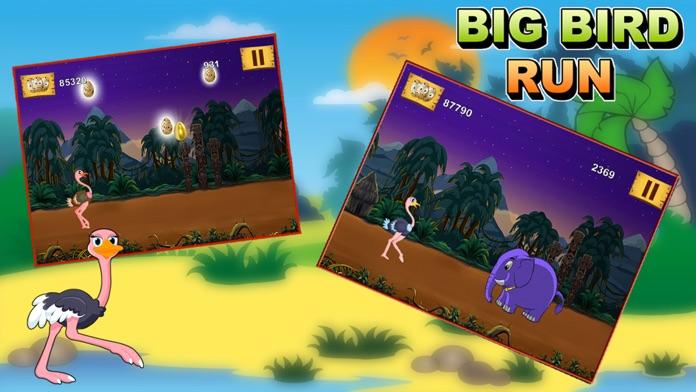 Big Bird Run - Ostrich's Crazy Jungle Splash (Free Game) android iOS ...