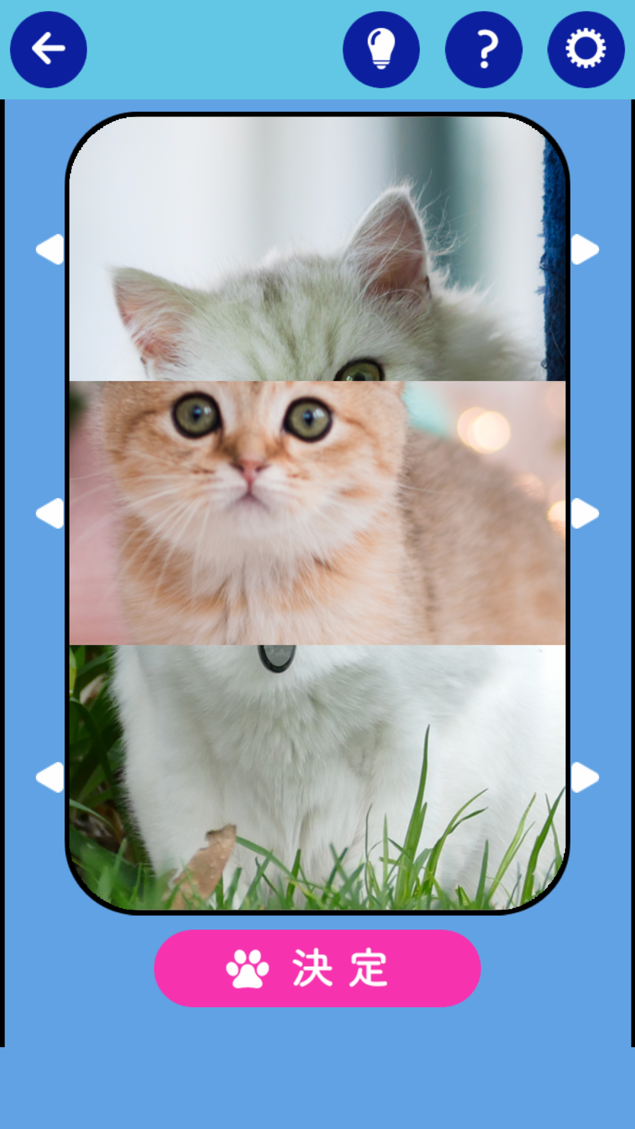 そろえて！にゃんにゃんクイズ Game Screenshot