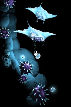 Seashine 遊戲截圖