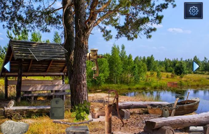 Escape Games - Wild Forest Game Screenshot