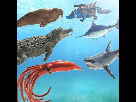 Screenshot dari video Sea Animal Kingdom: War Simula