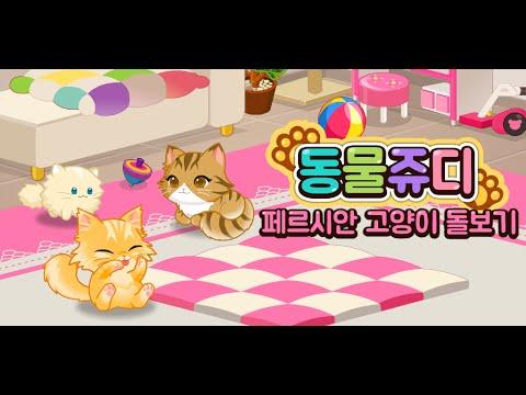 Screenshot of the video of Animal Judy: Persian cat care