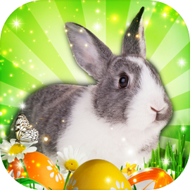 Hidden Object: Easter Egg Hunt