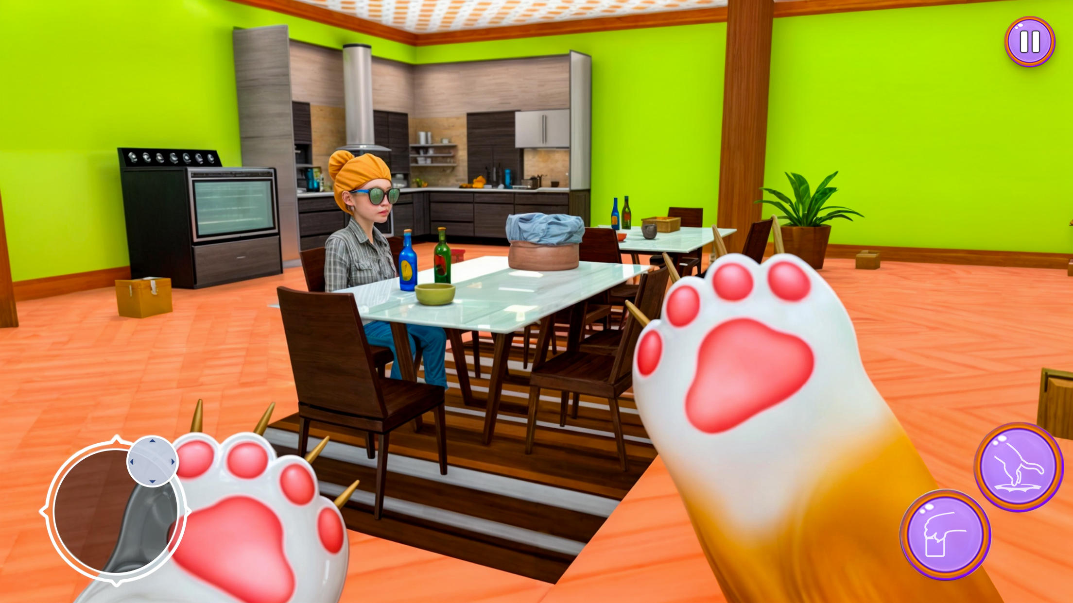 Naughty Cat: Angry Gran Games Game Screenshot