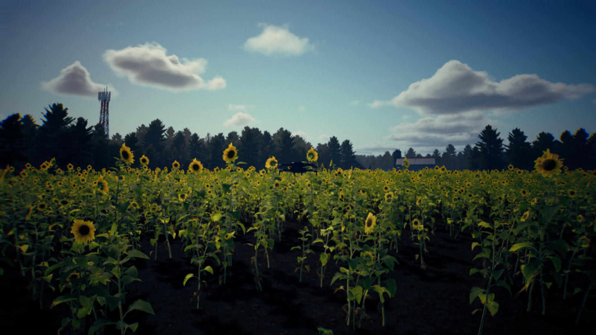 Death From Above Game Screenshot