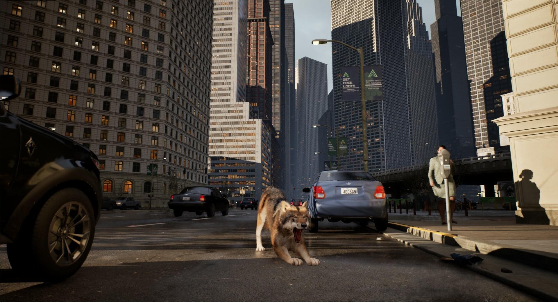 WOLF IN THE CITY Game Screenshot