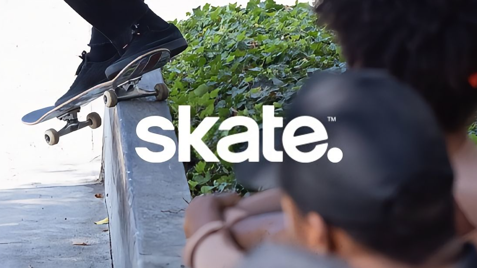 Banner of skate. 