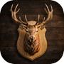 Icon of Hunter's Lodge: Hunt & Collect
