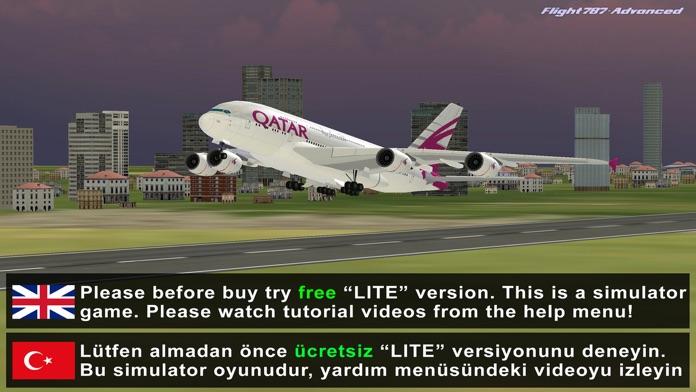 Flight 787 - Advanced Game Screenshot