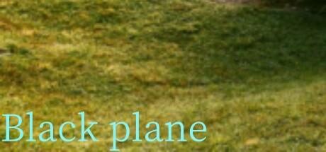 Banner of Black plane 