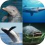 Icon of Aquatic Race
