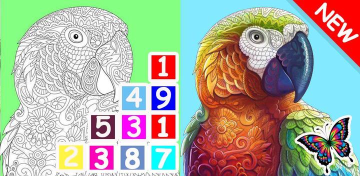 Banner of Coloring by numbers books for adults 