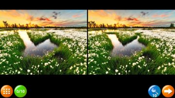 Find the Difference 200 lvls Game Screenshot