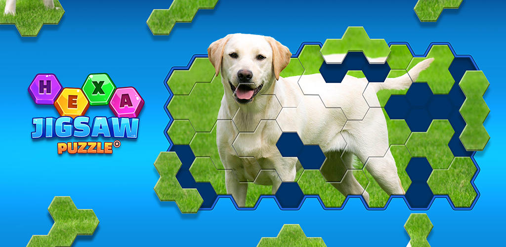 Banner of Puzzle Jigsaw Hexa ® 106.03