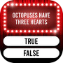 Quiz It