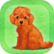 Juego de entrenamiento Healing Puppy ~Edición Toy Poodle~