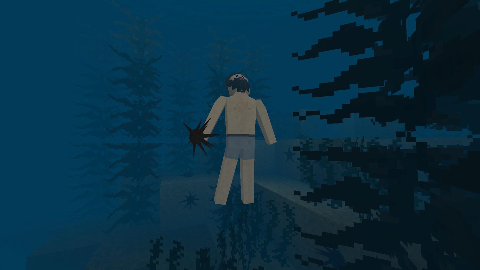 Screenshot of Survivalcraft 2