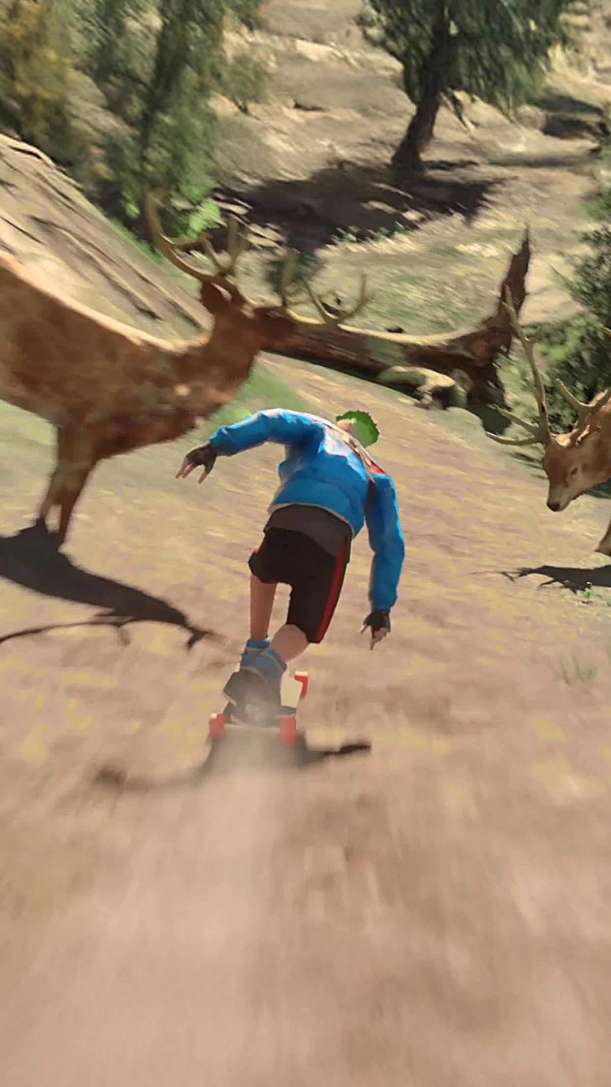 Downhill Racer Game Screenshot