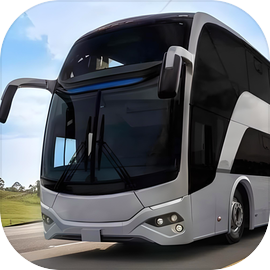 City Bus Tours