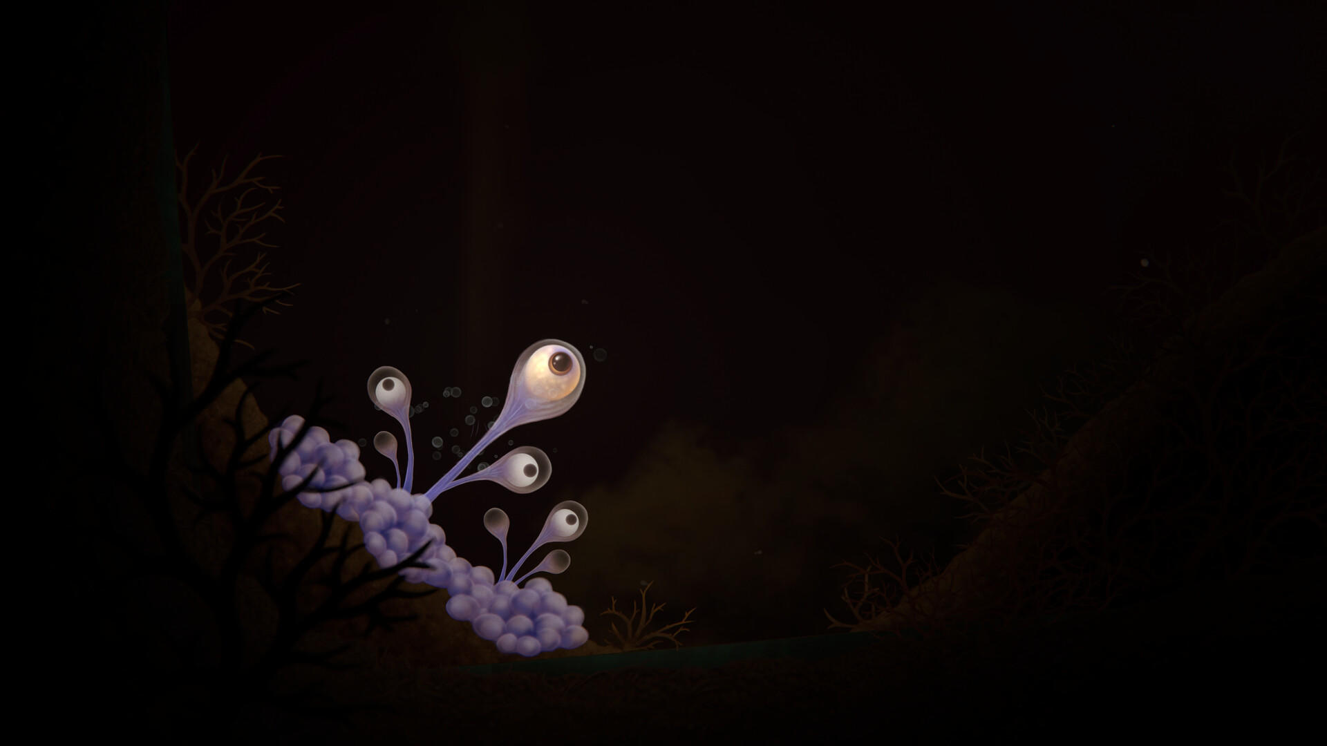 Screenshot of Evolution: From the little light
