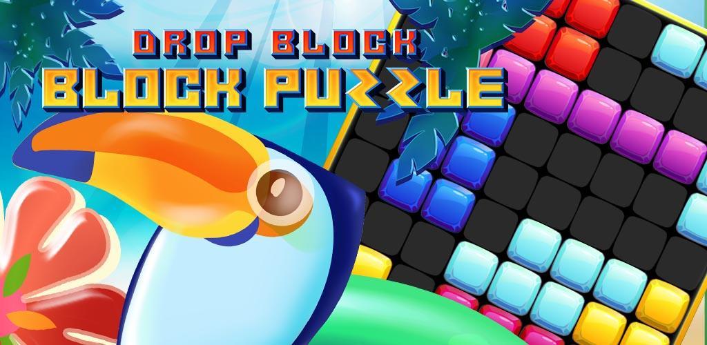 Banner of Drop Block: Block Puzzle 1.0.4