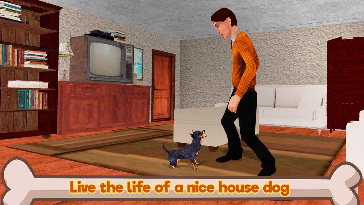 Chihuahua Dog Simulator 3D Game Screenshot