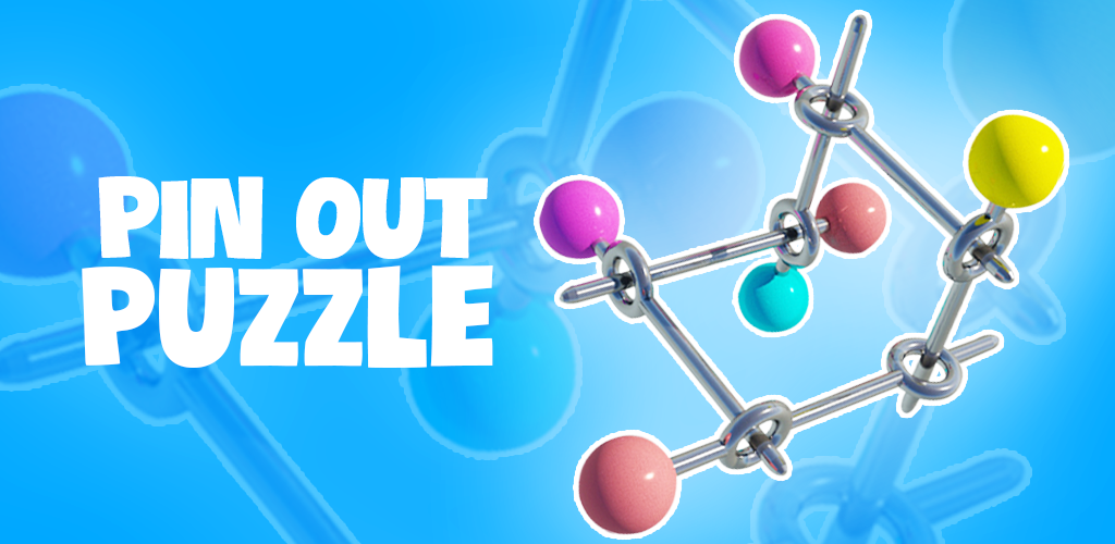 Pin Out Puzzle