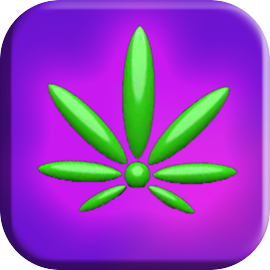 Budtender: LA Green Believers!