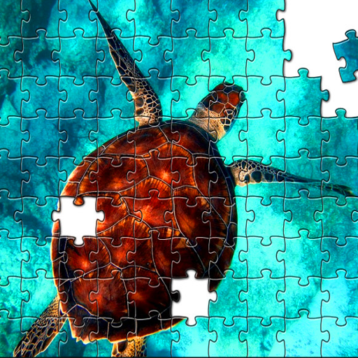 Turtle's Jigsaw Puzzles android iOS apk download for free-TapTap