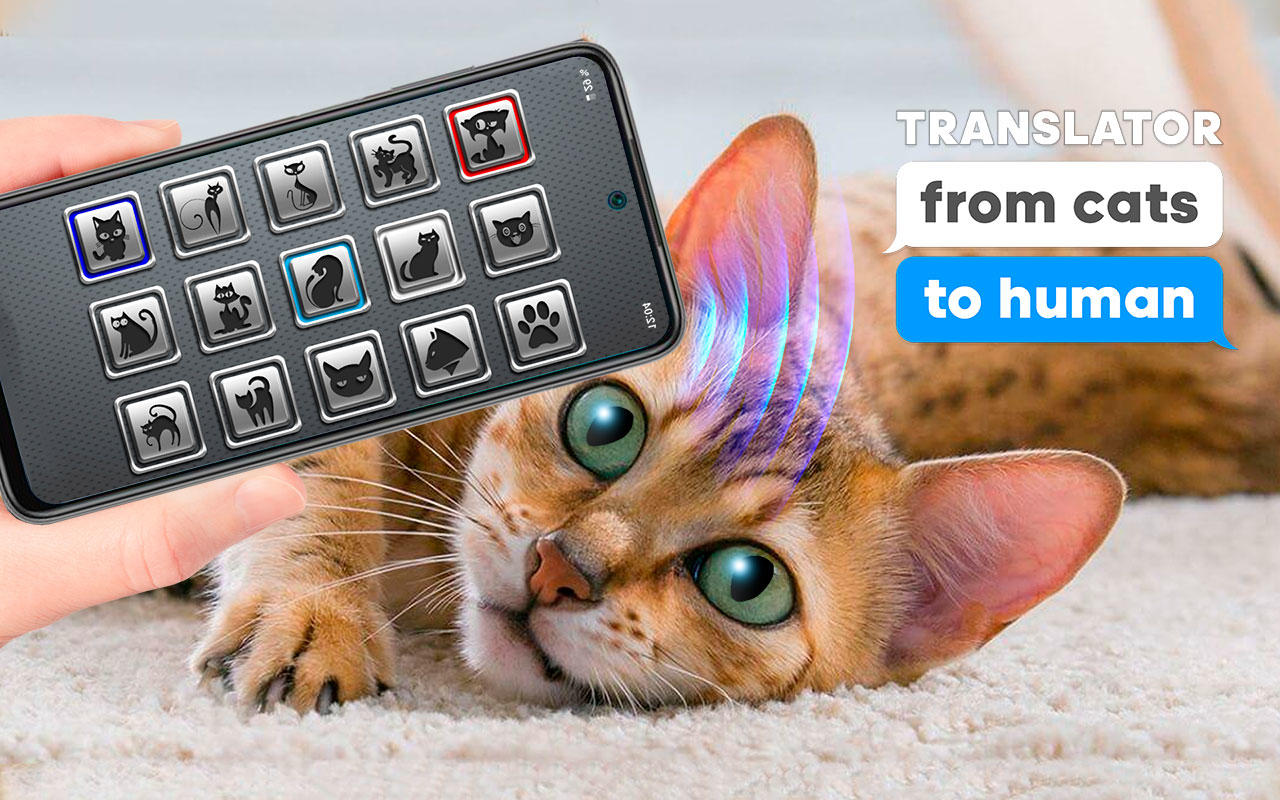 Screenshot 6 of Translator from cats to human 